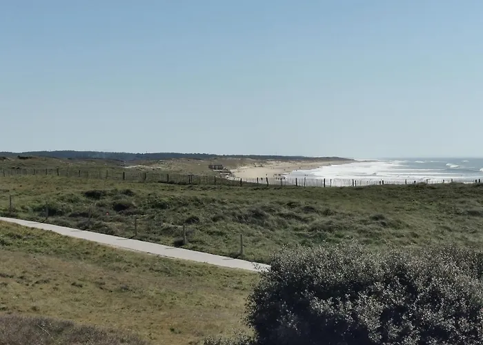 La Pigouille - Proche * Brétignolles-sur-Mer